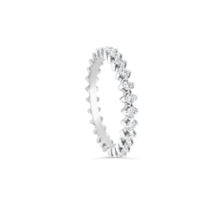 FANG ETERNITY BAND