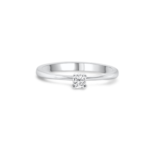 EMY ELEVATED SOLITAIRE RING